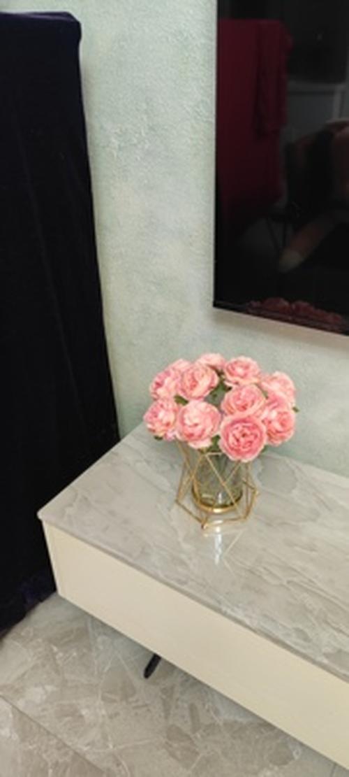 Style Transparent Iron Vase for Home Decor photo review