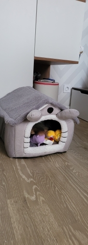 Foldable Small Pet House Bed photo review