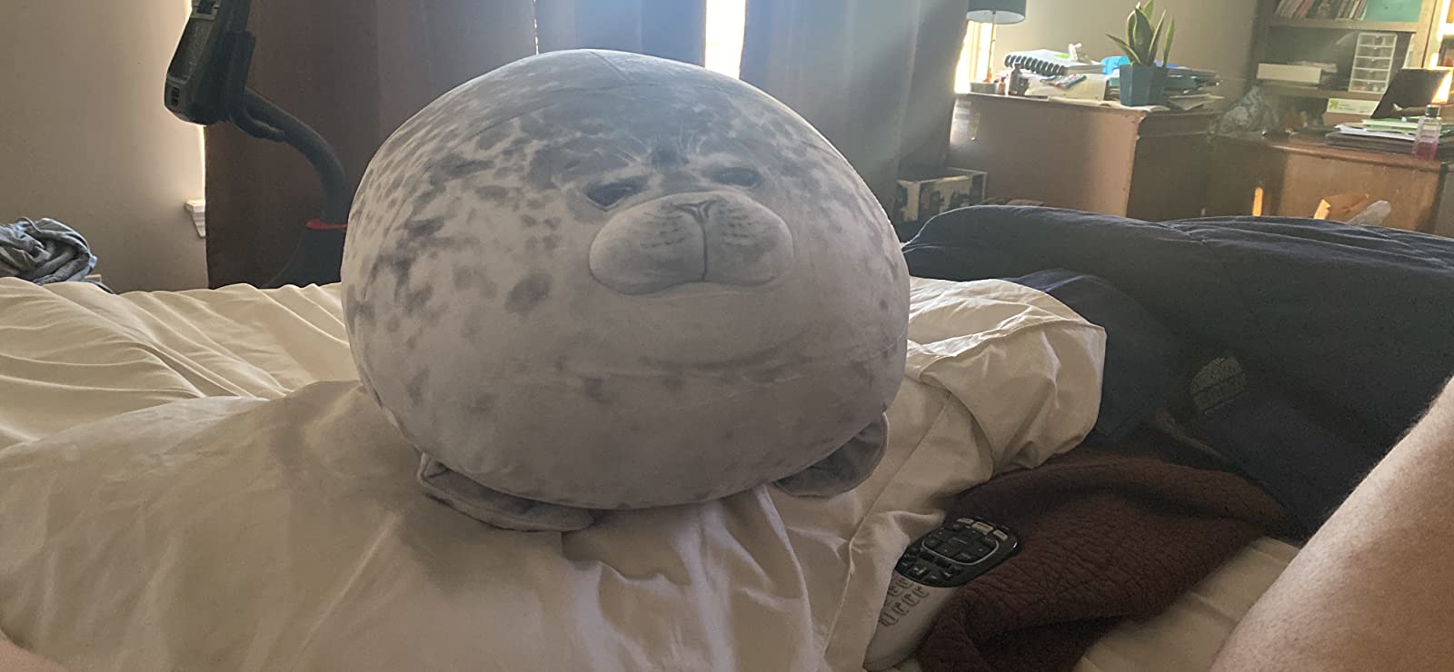 Giant 3D Blob Seal Pillow Soft Hugging Stuffed Cotton Plush Animal Toy photo review