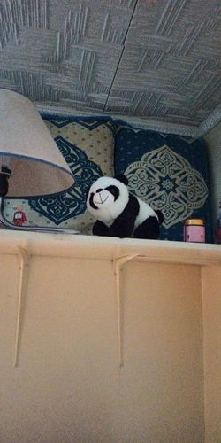 Giant Stuffed Panda Bear - Big Animal Plush photo review