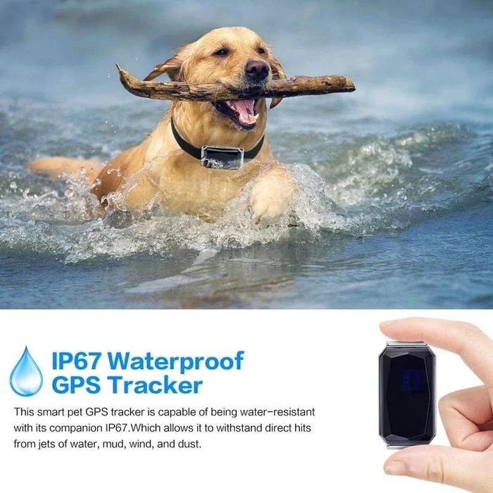 GPS Location Waterproof Dog Tracker Collar