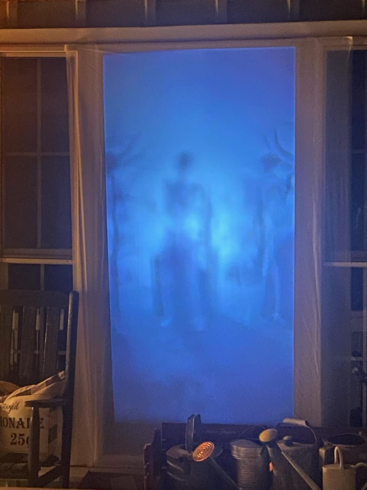 Halloween Christmas Holographic Projection photo review
