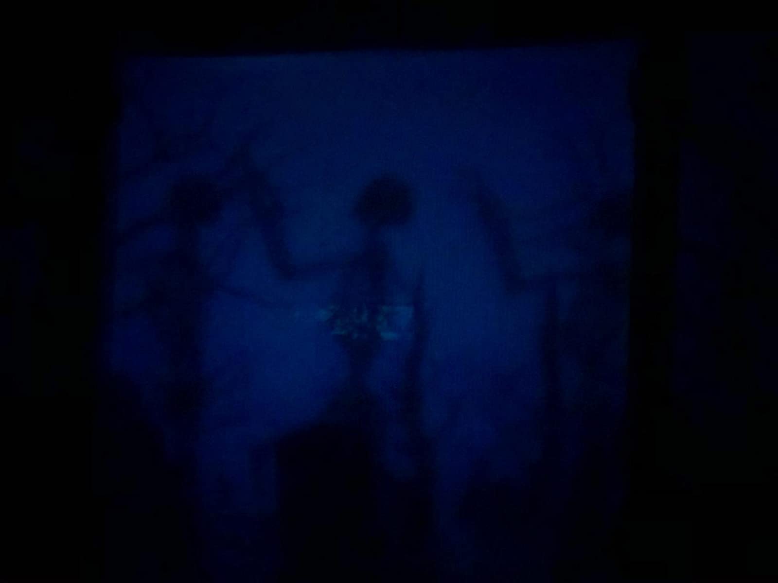 Halloween Christmas Holographic Projection photo review