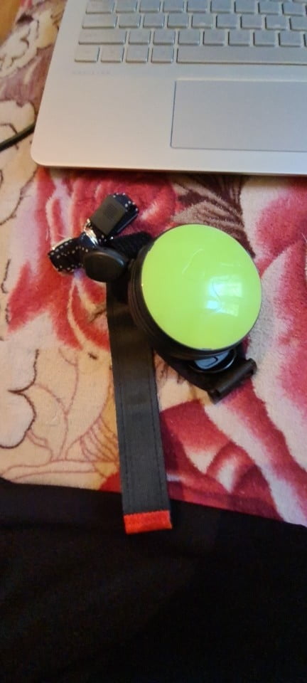 Hands Free Retractable Dog Leash - Wrist Strap 3M Reflective Dog Leash photo review