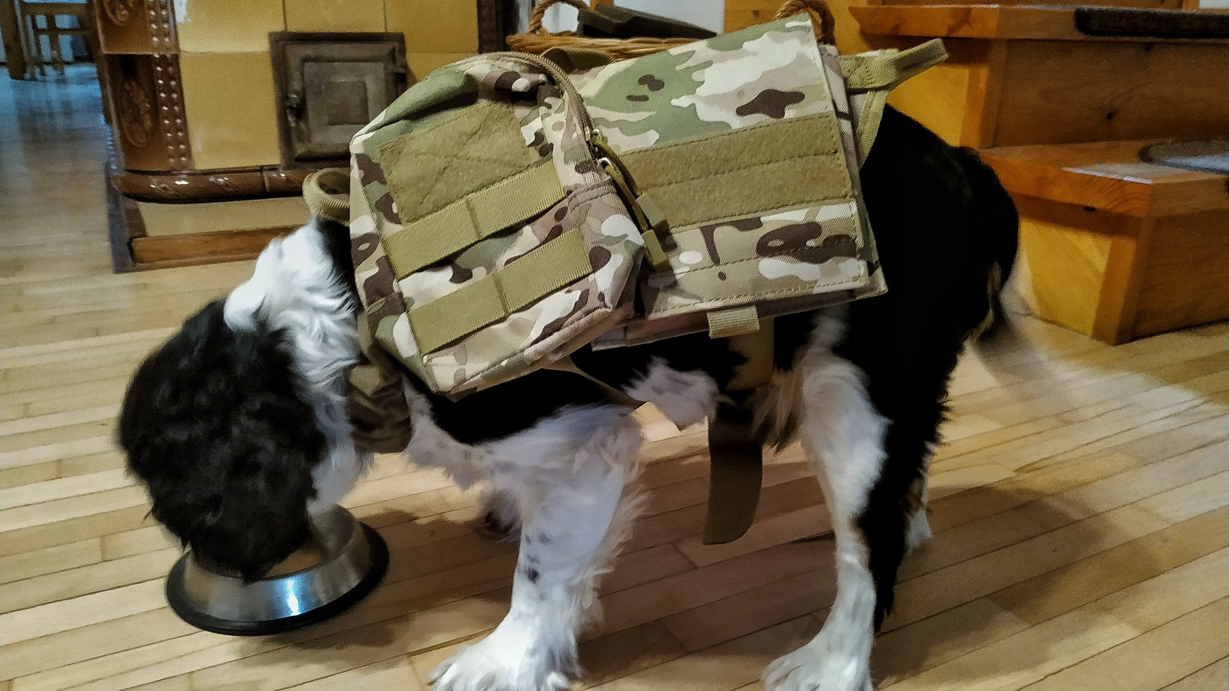 Ihrtrade Tactical Dog Harness Molle System Vest Adjustable Military Working Dog Vest Training Vest K9 Harness photo review