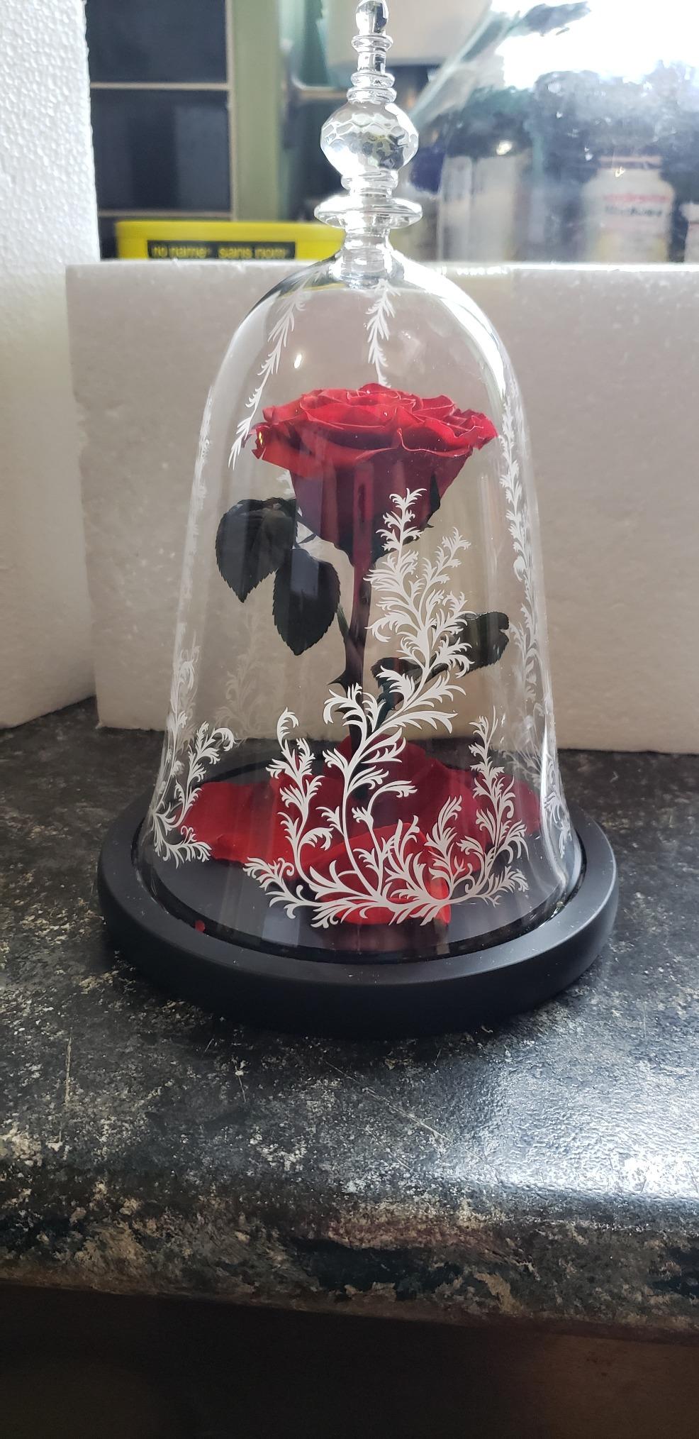 Immortal Enchanted Bell Rose Led Glass Display photo review