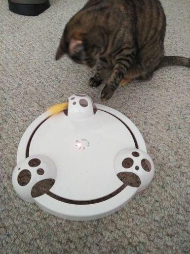 Interactive Mouse Pounce Cat Toy photo review