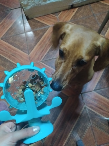 Interactive Treat Leaking Toy for Slow Dog/Cat Feeder - Firik