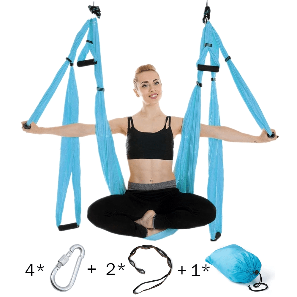 Black Aerial Yoga Inversion Swing + Yoga Swing DVD