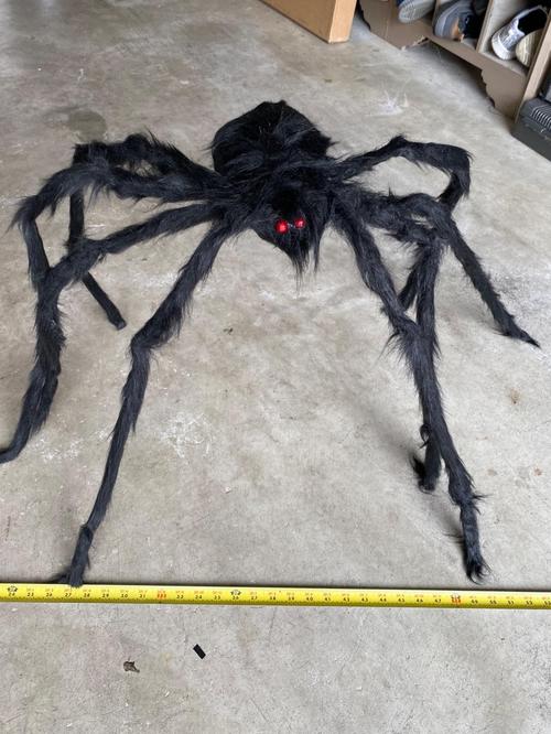 Halloween Outdoor Decorations Hairy Spider, Scary Giant Spider Fake Large Props for Yard Party Decor photo review