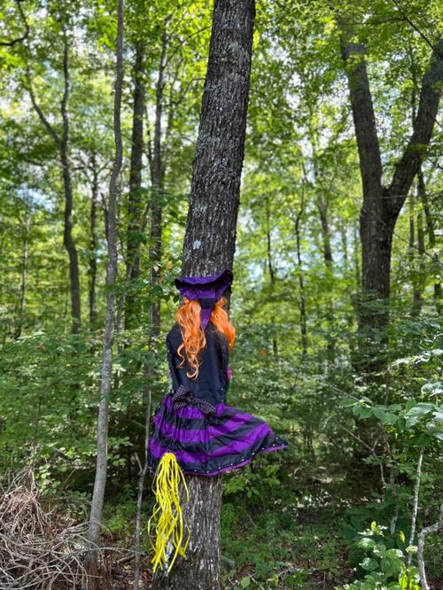 Large Crashing Witch Decor, Halloween Decorations Outdoor Witch Props Ornaments, Outside Garden Funny Witches Crashed photo review