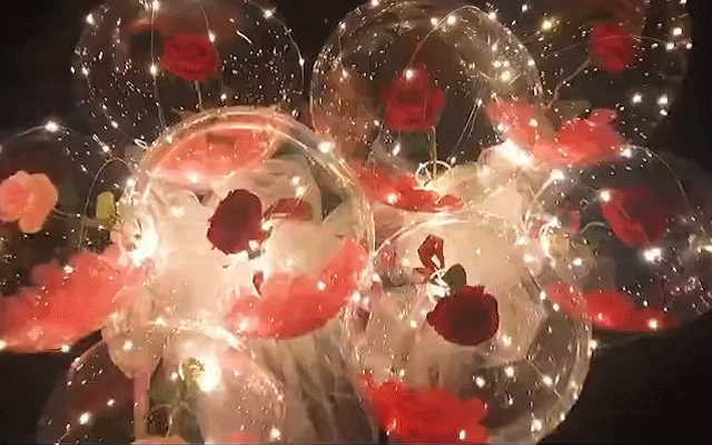 Ballon Lumineux Rose Bouquet Led Lumière Bobo Ball Avec Rose 20 Pouces Glow  Bubble Ballons Avec
