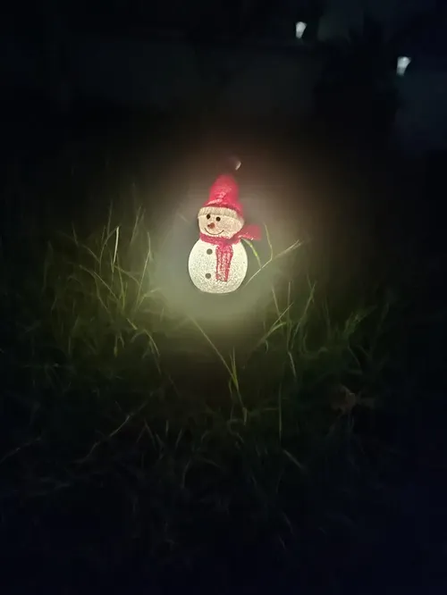 Solar Powered Christmas Snowman Garland Lights photo review