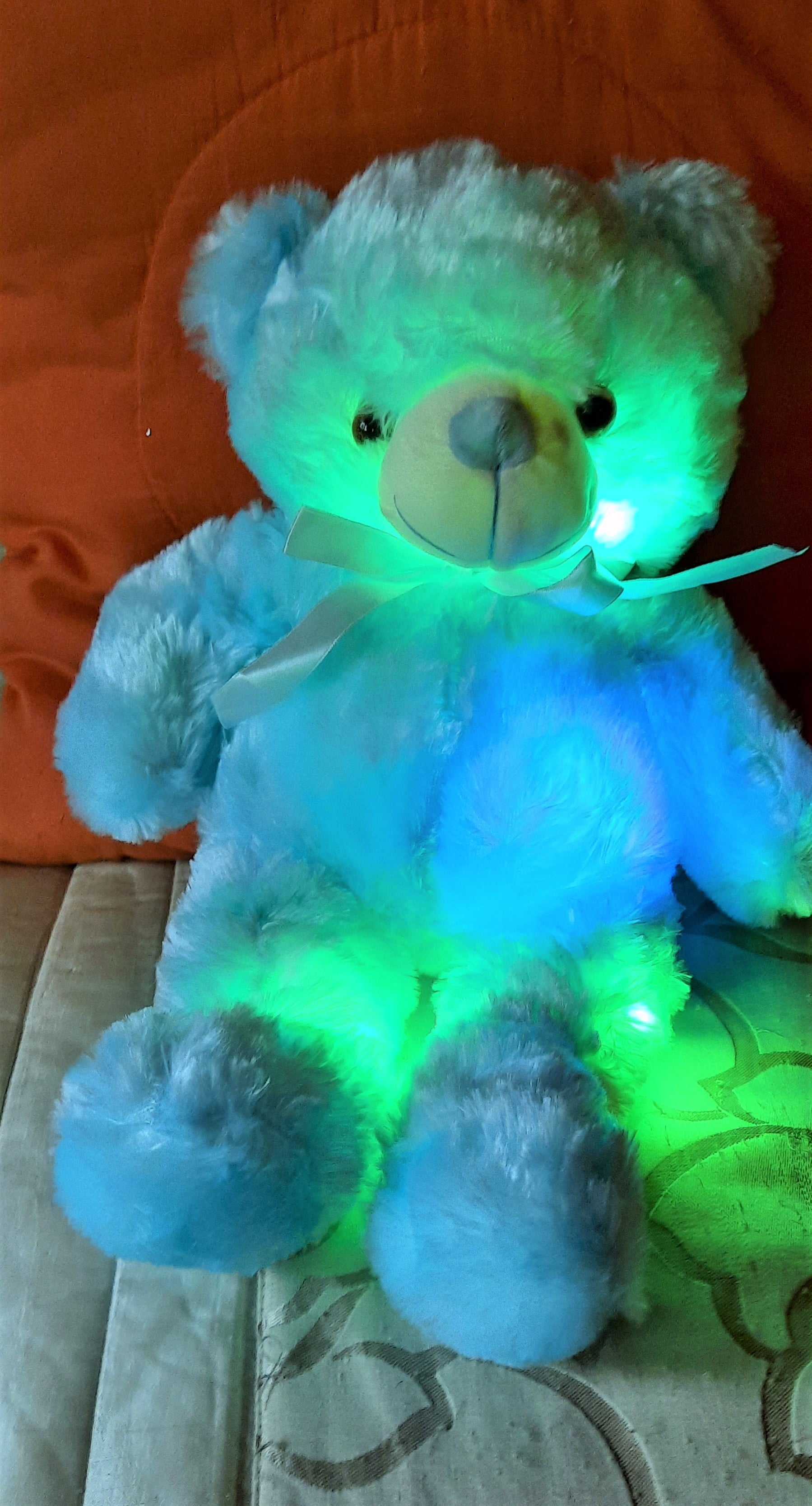LED Teddy Bear photo review