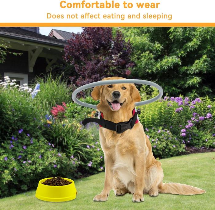 Lightweight Adjustable Blind Dog Halo Protective Anti-Collision Ring