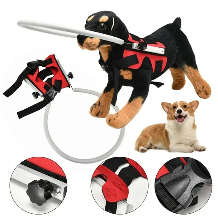 Lightweight Adjustable Blind Dog Halo Protective Anti-Collision Ring