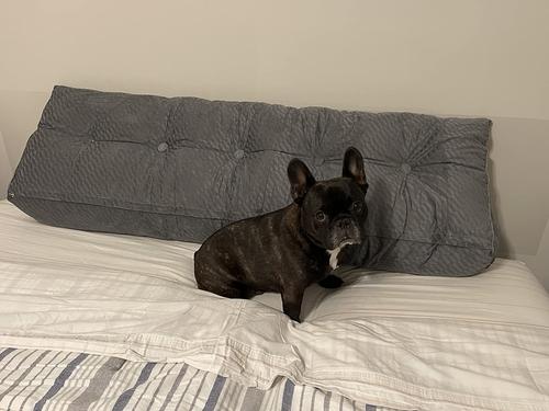 Three Dimensional Velvet Triangle Big Cushion Bedside Cushion photo review