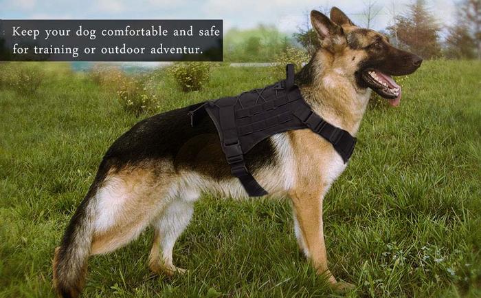 Tactical Dog Training Vest Adjustable Harness Set