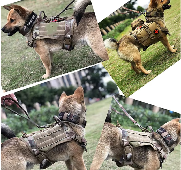 Tactical Dog Training Vest Adjustable Harness Set