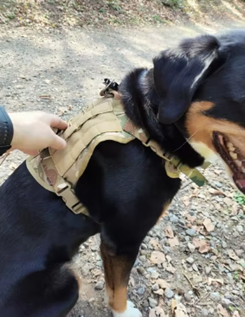 Tactical Dog Training Vest Adjustable Harness Set photo review
