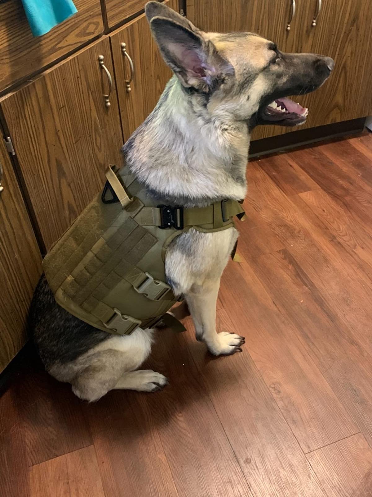 Military Tactical Dog Harness, Tactical Dog Clothes Outdoor Dog Vest photo review