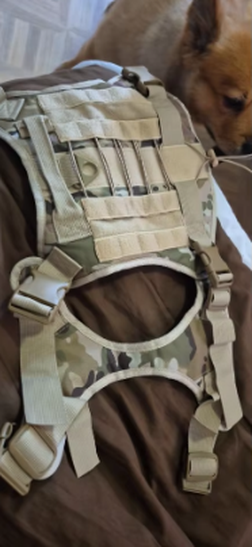 Tactical Dog Training Vest Adjustable Harness Set photo review