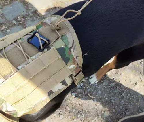 Tactical Dog Training Vest Adjustable Harness Set photo review
