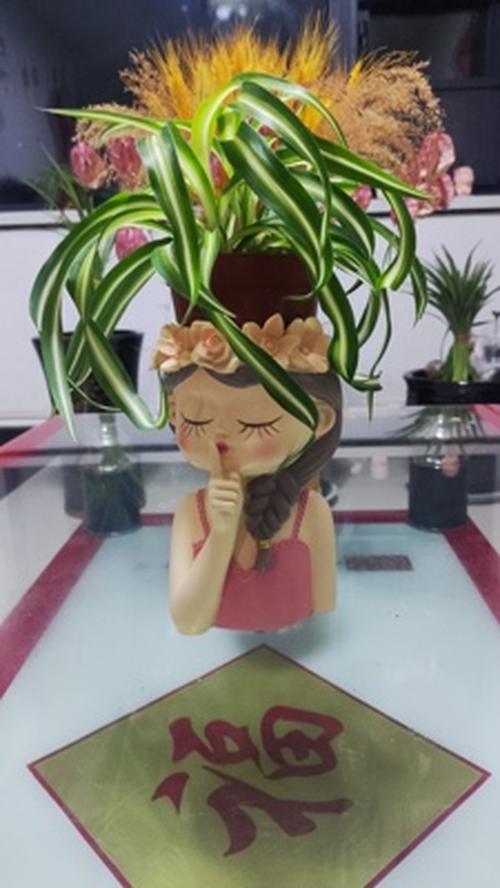 Cute Girl Succulent Cactus Flower Pots for Home Decor photo review