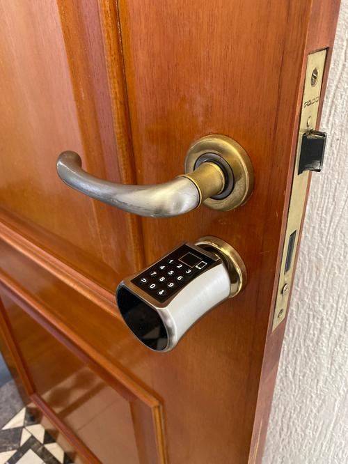 Multi-Functional Biometric Cylinder Smart Door Lock photo review