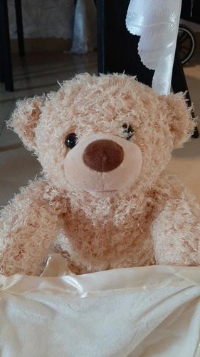 Peek-A-Boo Teddy, Plush Toy Scarf Bear Interactive Toy Cute Plush Bear photo review