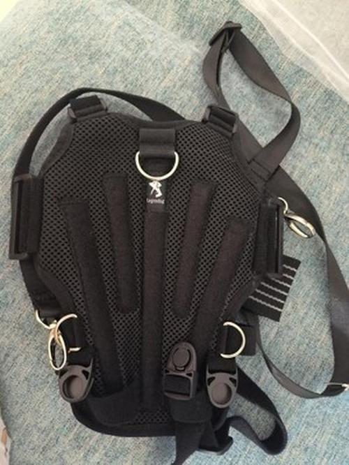 Pet Dog Back Brace for Various Sizes photo review