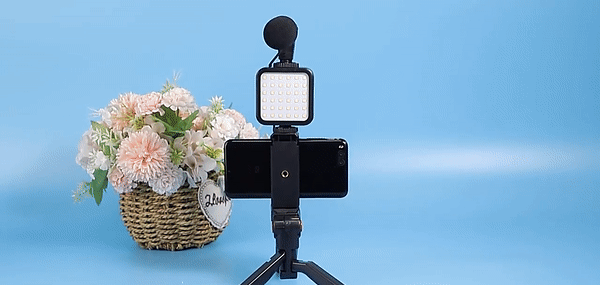 Phone Vlogging Kit for Live Streaming with Remote Control Microphone and  LED Light – Katy Craft