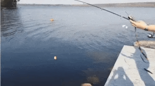 Wireless and Wired Fish Finder with 100m Sonar Detection