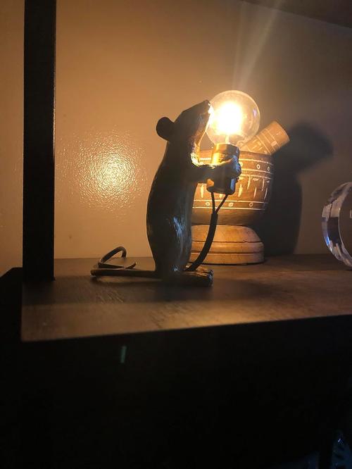 USB LED Mouse Night Lamp for Home Decor photo review