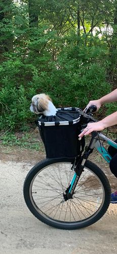 Premium Bicycle Dog Basket Front Dog Carrier Basket photo review