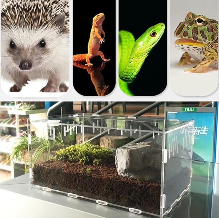 Premium Pvc Transparent Reptile Enclosure Terrarium Tank