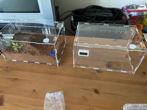 Premium Pvc Transparent Reptile Enclosure Terrarium Tank photo review