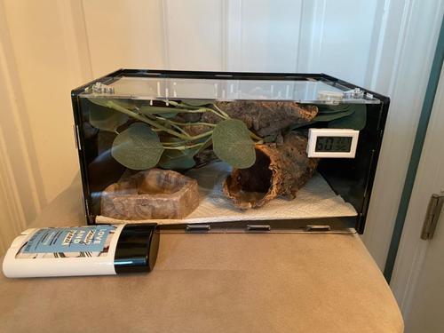 Premium Pvc Transparent Reptile Enclosure Terrarium Tank photo review