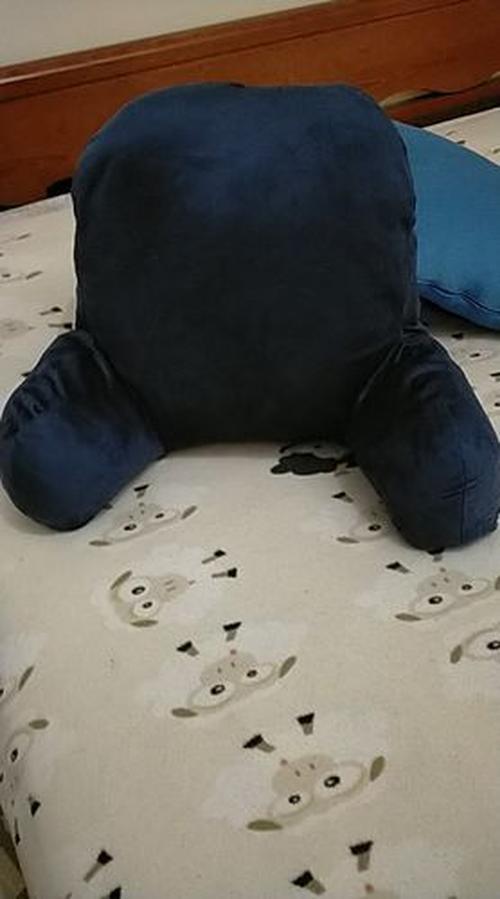 Soft Velvet Armrest Back Support Floor Pillow photo review