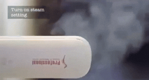 Professional Steam Hair Straightener with LED Display and Ceramic Plates