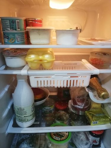 Refrigerator Storage Rack photo review