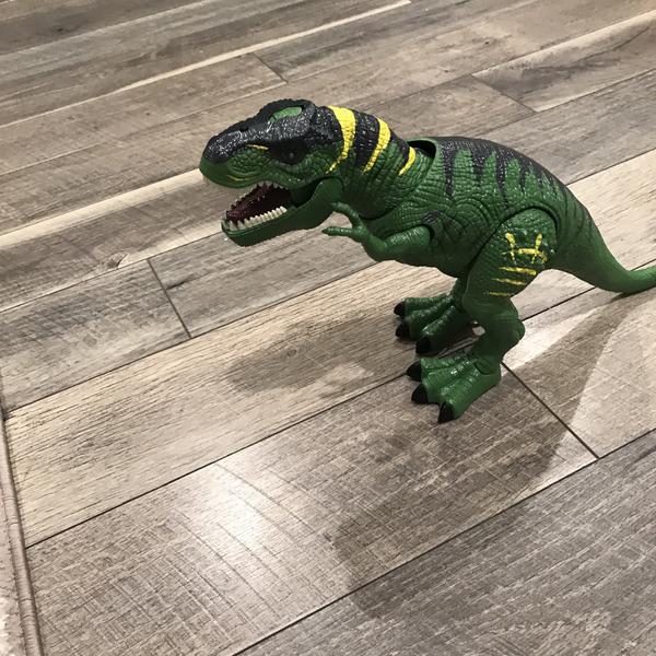 Remote Control Dinosaur Toys, Light Up & Realistic Roaring Sound, T Rex Dinosaur Toys, Electronic Walking Dinosaur Toys, Dinosaur Robot Toy photo review