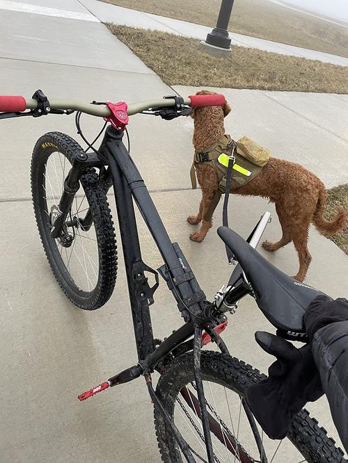 Retractable Dog Bike Leash with Stainless Steel Handle Bar photo review