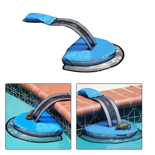 Safe Escape Ramp for Frogs and Small Animals in Swimming Pool