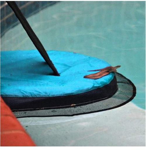 Safe Escape Ramp for Frogs and Small Animals in Swimming Pool