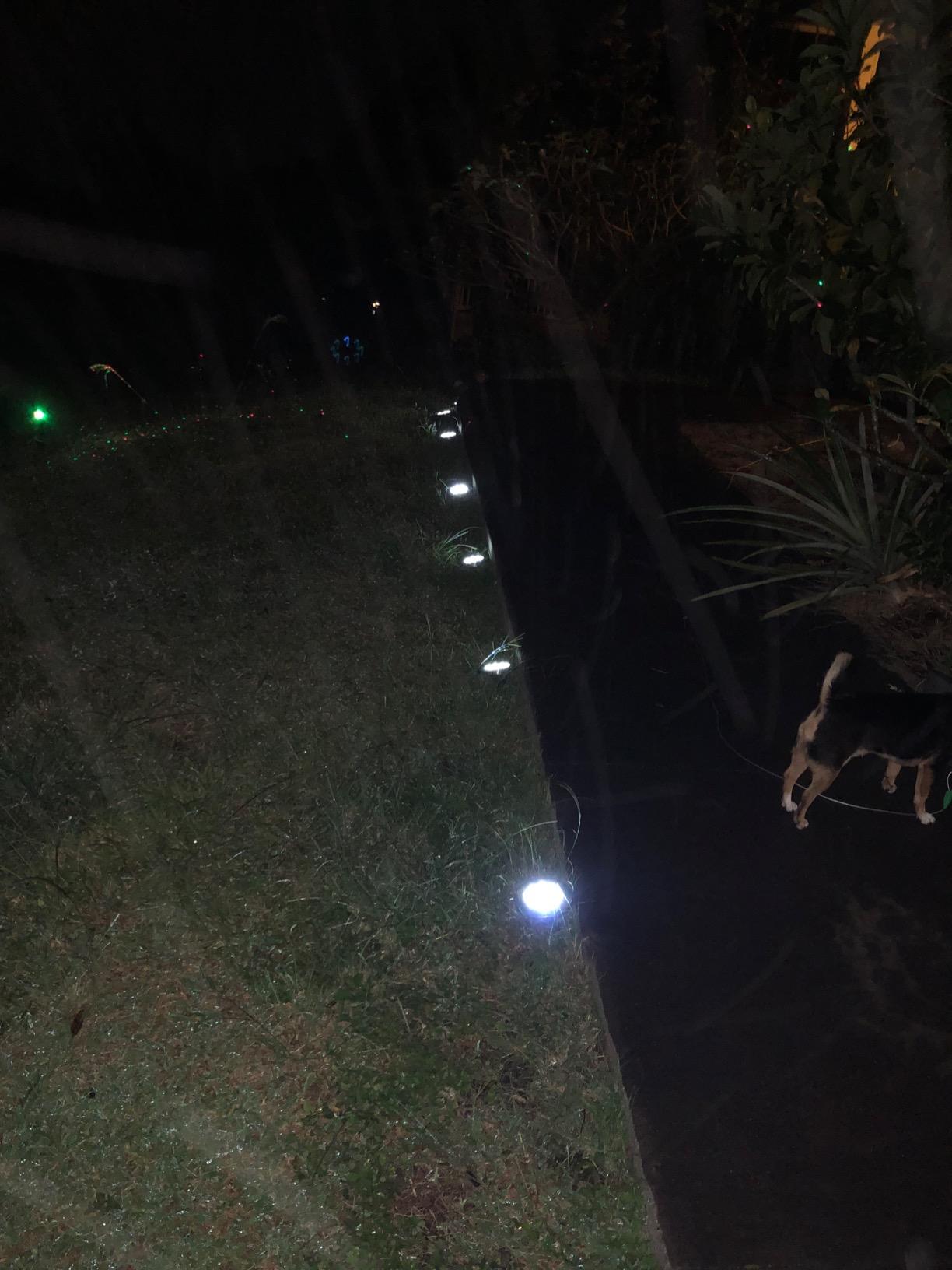 Set Of 4 Waterproof Solar Powered Garden Lights 8 LED photo review