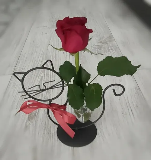 Simple Cat Iron Hydroponic Flower Vase - Innovative Home Living Room Decor photo review