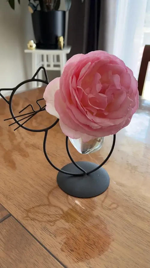 Simple Cat Iron Hydroponic Flower Vase - Innovative Home Living Room Decor photo review