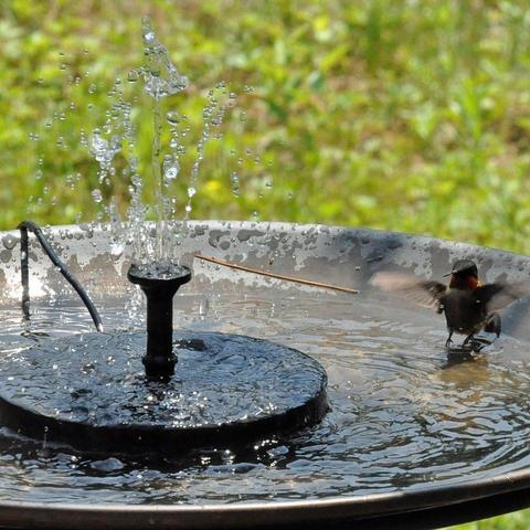 Solar water fountains store for bird baths