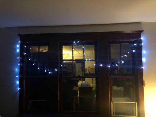  Warm White Snowflake Christmas Lights for Indoor and Outdoor Decorations photo review